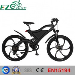 36V 250W 350W 500W Electric Bike/Electric Bicycle