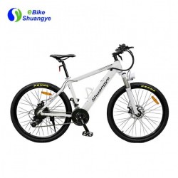 36V Hidden Battery Mountain Electric Bicycle