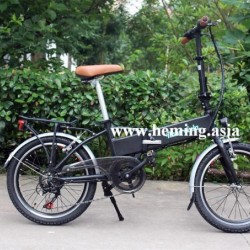 20" Tire 250W Folding Electric Bike En15194