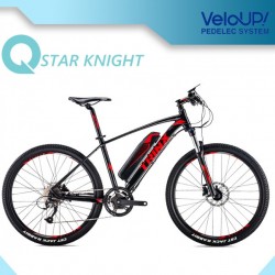 MTB Electric Bike 36V250W Lithium Battery Akm Motor Electric Bicycle