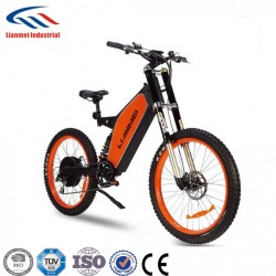 Popular Cheap Downhill Electric Bicycle
