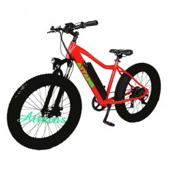 High Quality Electric Bike with Hiden Battery E Bike
