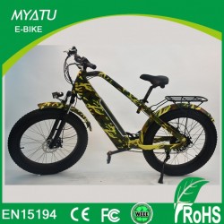 Hi Power Fat Electric Mountian Bike with 750W 48V/13ah