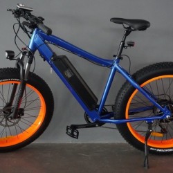 2017 New Fat Electric Bike with Motor 48V 500W