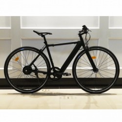 Electric Bike with Bicycle Type Frame