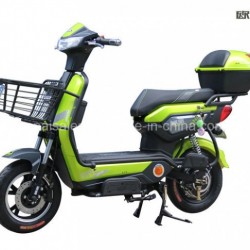 Electric Bicycle 500W/800W Pedal E-Bike / Scooter