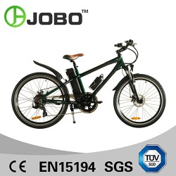 Electric Bike Motorcycle Hub Motor Mountain E Bike (TDE03Z)