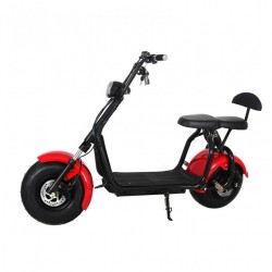Electric Bicycle with 1000W Motor