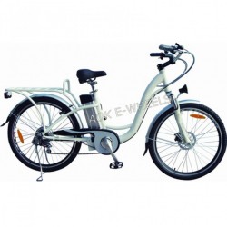 Vintage Lady Aluminium Alloy Lithium Battery Electric Bike (TDE-038XB)