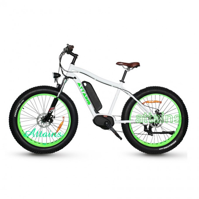 Fat Tire Electric Bike E-Bike with Ce En15194 Image1