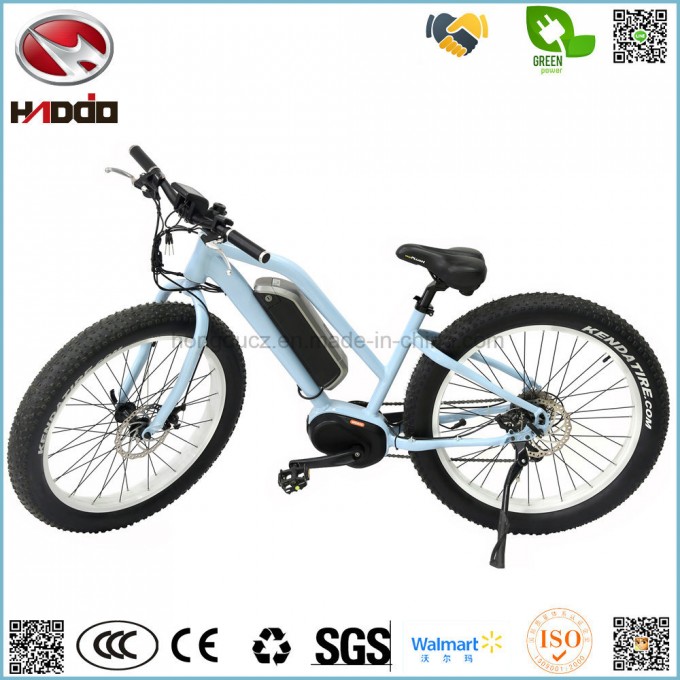 250W 26 Inch Fat Tire Electric Mountain E-Bike MID Motor Disk Brake Lithium Battery Bicycle Image1