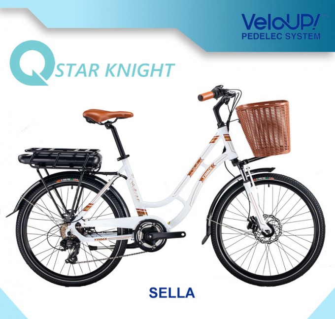 Fashion 250W Motor Electric Bike with Smart Drive System Image1