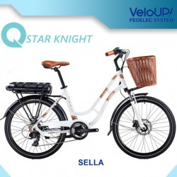 Fashion 250W Motor Electric Bike with Smart Drive System