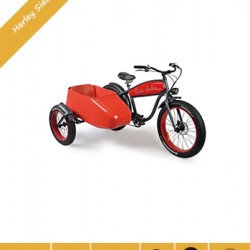 Three Wheel Wagon Side Car Electric Bike