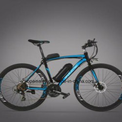 36V 10ah/36V 15ah/36V 20ah Lithium Battery Ce Certificate Electric Bicycle/Road Bike