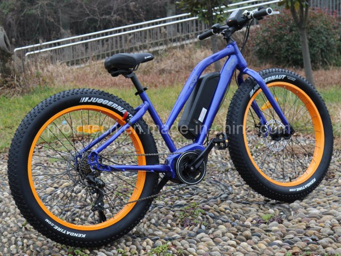 Green Power Middle Motor Fat Electric Bicycle with En15194 Image1