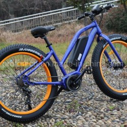Green Power Middle Motor Fat Electric Bicycle with En15194