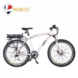 High Quality Big Power Motor 28 Inch Electric Mountain Bike