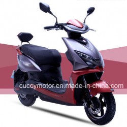 2018 China 500W 1000W LED Lithium Battery Moto Motos Dult Electric Bike (Windy)