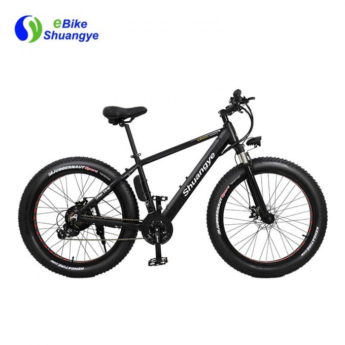 New Design 250W 350W 500W Factory Hidden Battery Electric Fat Bike Image1
