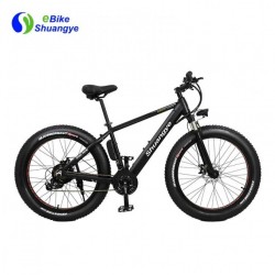 New Design 250W 350W 500W Factory Hidden Battery Electric Fat Bike