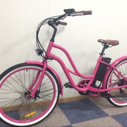 Cheap Price 36V 250W Electric Bicycles From China