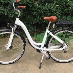 200-250W Motor Electric Bicycle