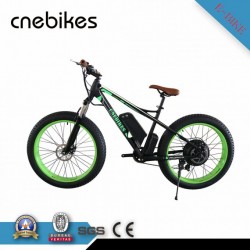 26inch 750W Brushless Motor Ebike Cruiser with Ce Approved
