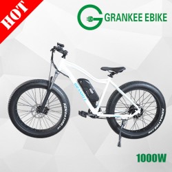 Electric Bicycle 1000W Two Motor of Electric Bike