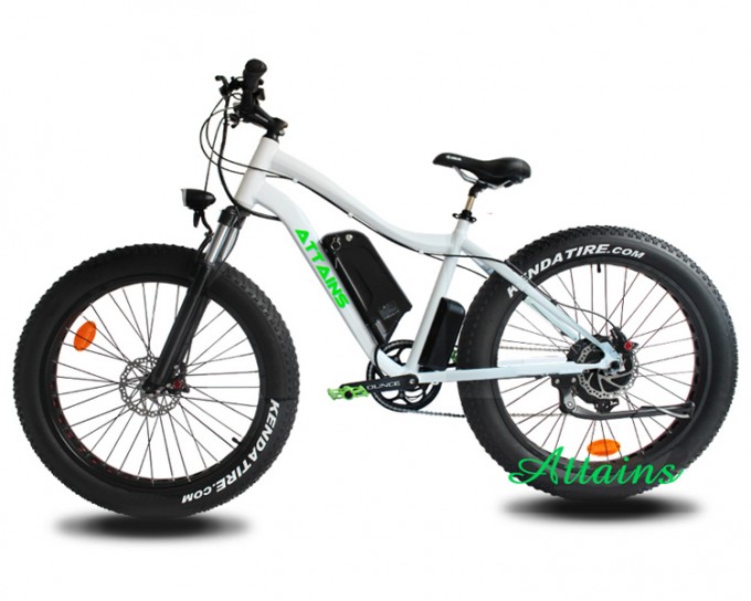 Wholesale Electric Bike 750W/48V Powered Hub Motor E Bike Fat Electric Bicycle Brushless Motor Image1