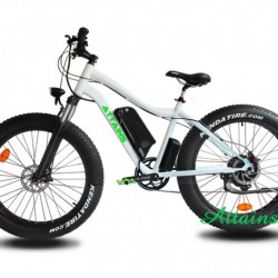 Wholesale Electric Bike 750W/48V Powered Hub Motor E Bike Fat Electric Bicycle Brushless Motor