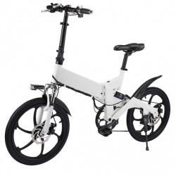 2018 New Design Novelty 20 Inch 48V Folding Ebike