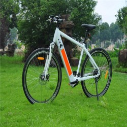 Hidden Battery 700cc 36V 250W Mountain Electric Bike