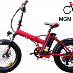 Fat Tire 20inch Bike Folding Electric Bicycle with Rear Motor