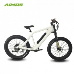 350W Motor 36V 10ah Lithium Battery Electric Bicycle E Bike