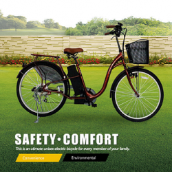 High Quality 24V 250W Electric Bicycle Pedal Assist