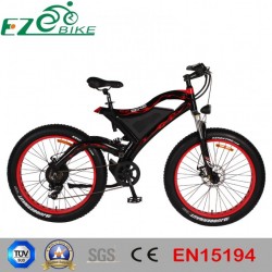 Green Power Electric Bike with High Performance