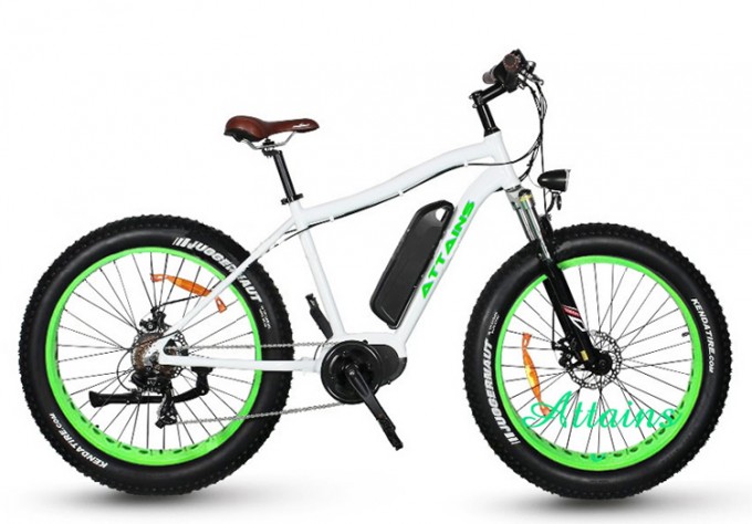 250W Center Engine MID Motor Commuter Electric Bike Motor Electric Bicycle Image1