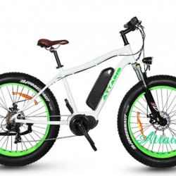 250W Center Engine MID Motor Commuter Electric Bike Motor Electric Bicycle