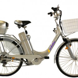 Class Electric Bicycle with Cheap Price