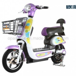 Pedal E-Bike / Scooter Electric Bicycle 500W/800W