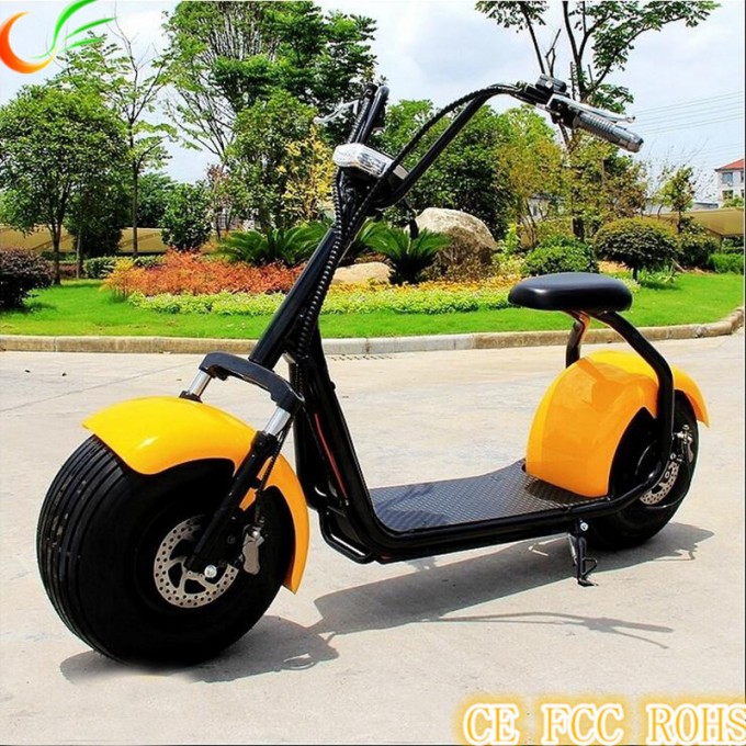 Newest Patented Harley Citycoco Electric Bicycle with 1000W Image1