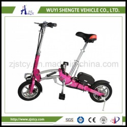 36V 10ah with Display Electrical Ladies Folding Electric Bike.