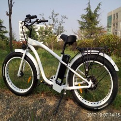 MTB 500W Hummer 26*4.0 Tire Electric Bike with Disc Brakes