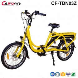 20inch New Green Poewer Adult Electric Cargo Bike with Lithium Battery/48V 350W Best Electric Bike B
