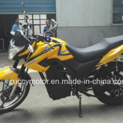 1500W 2000W 3000W Puma Aguila Ava Unico Mishozuki Brazil 16" Tire Lithium Electric Bike (FX)