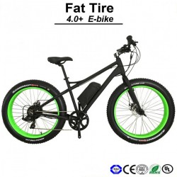 Big Power 500W 4.0 Tire Electric Snow Beach Bicycle