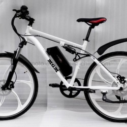 Magnesium Whole Wheel Mountain Electric Bicycle