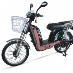 Haonuo 2018 Battery Removale E-Bicycle for Sudan Market