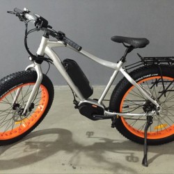 Most Famous Electric Bike Mountain Type Ebike with 48V 350W MID Drive Motor